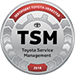 TSM Logo